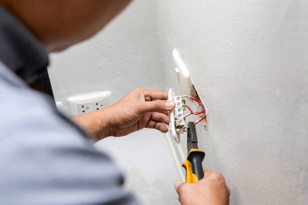 Best Electrician for Home Renovation  in Level Park Oak Park, MI